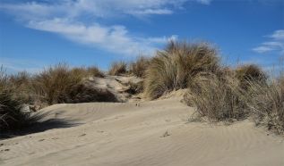 Lehűléssel indul a hét, és visszatérnek a hajnali fagyok is