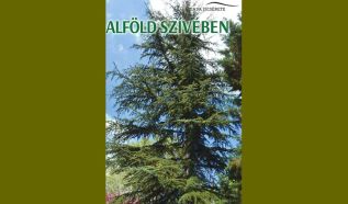 Hegyi óriások az Alföld szívében: Bemutatkoznak a Kecskeméti Arborétum tauruszi cédrusai