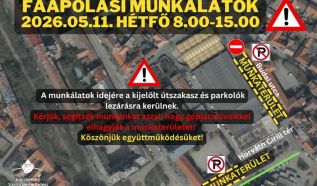 Hétfőn faápolás lesz a piac környékén