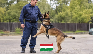 Joker kutya segített megtalálni az eltűnt tiszakécskei férfit