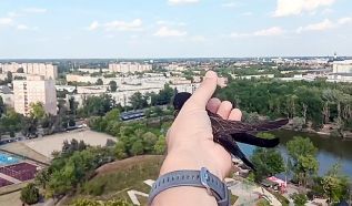 Sérülésükből felépült madarak térhettek vissza a természetbe Kecskemét térségében (VIDEÓ)