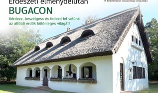 A KEFAG Zrt. különleges programmal készül az Erdők Éjszakájára Bugacon
