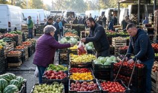 Ki vásárolhat a kecskeméti nagybani piacon? Nehéz döntés előtt a közgyűlés