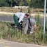 Küzdelem a királydinnye ellen Kecskeméten