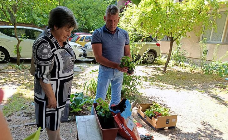 Virágültetés a Horváth Döme körúti Nyugdíjasházban
