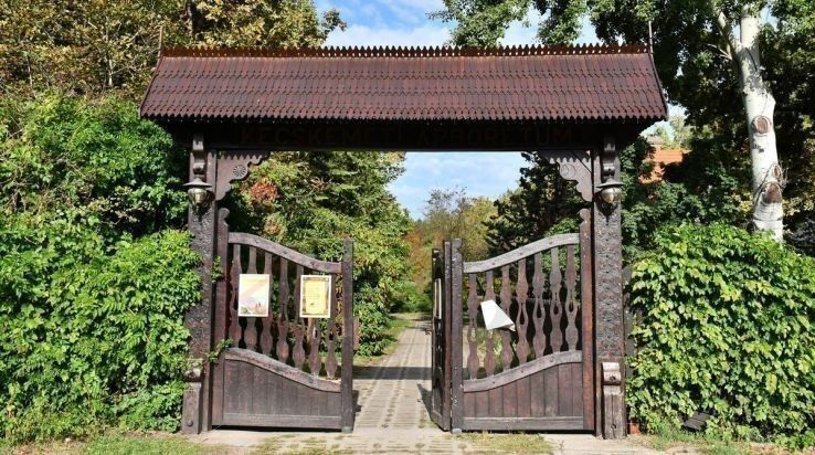 Közös felfedezések az Erdők Hetén a Kecskeméti Arborétumban