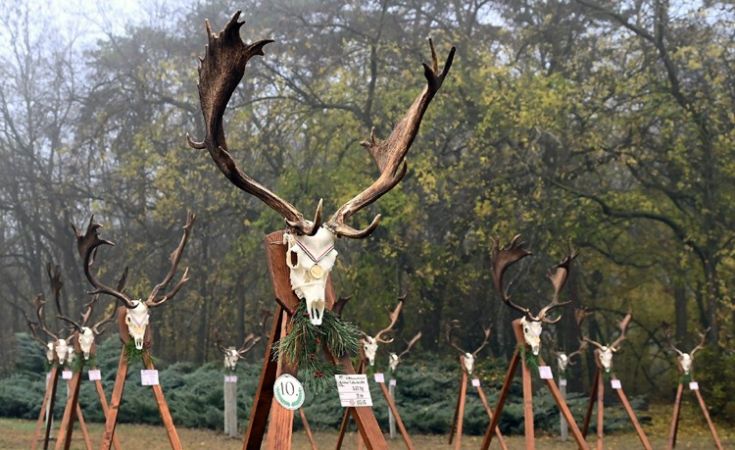 14. alkalommal rendezte meg a KEFAG Zrt Dél-Kiskunsági Erdészete a hagyományos trófeaszemléjét