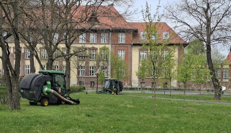 Kecskeméti Városüzemeltetési Nonprofit Kft: Vágni vagy nem vágni?