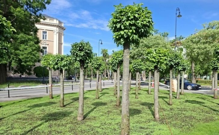 Beindult az élet a Rodostó téren