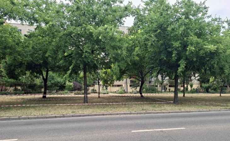 Elsivatagosodó Alföld: átalakul Kecskemét városképe a rendkívüli aszály miatt