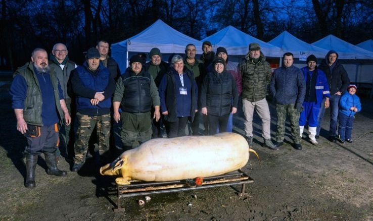 Hagyományőrző falusi disznótort rendeztek a Műkertvárosban