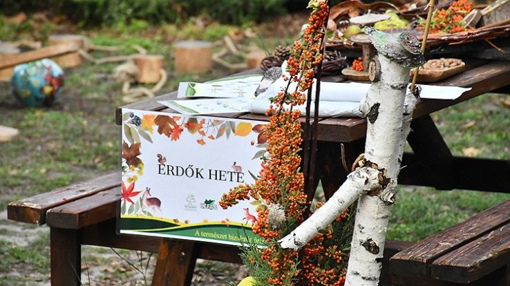 Erdők Hete a Kecskeméti Arborétumban – Játékos tanulás az őszi természetben