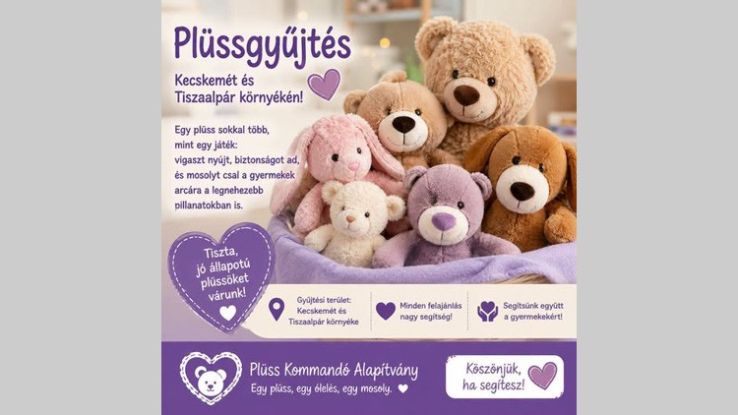 Plüssgyűjtés is lesz a szombati Forintos Börzén a Széchenyivárosi Kispiacon