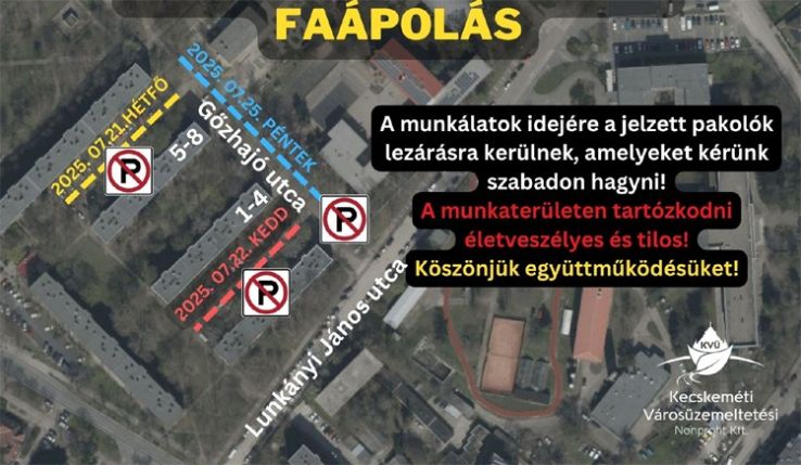 Faápolás kezdődik a Gőzhajó utcán
