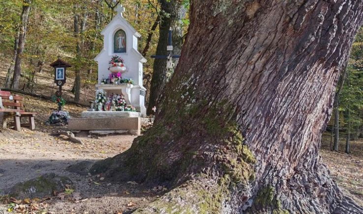 Folytatódik a csendes őszi idő a hétvégén is