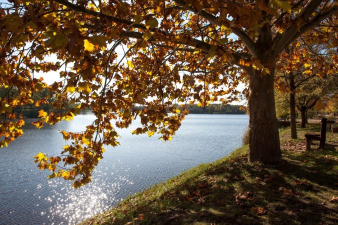 A Benkó Zoltán Szabadidőközpont szeptemberi nyitvatartása