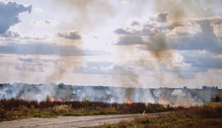 Hét hektáron égett a száraz fű Kecskemétnél