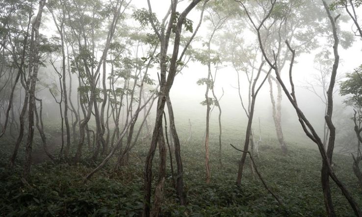 Napos és tartósan párás, ködös területek is előfordulhatnak ezen a héten