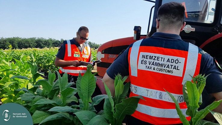 Nem tűnhet el nyomtalanul dohány!