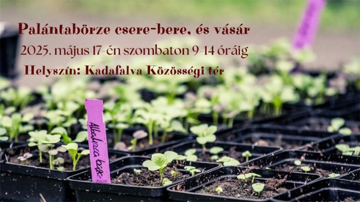 Palántabörze csere-bere, és vásár Kadafalván