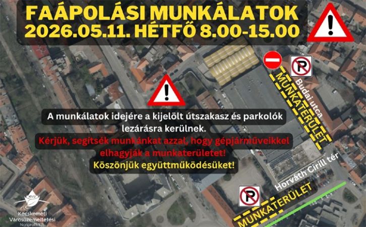 Hétfőn faápolás lesz a piac környékén