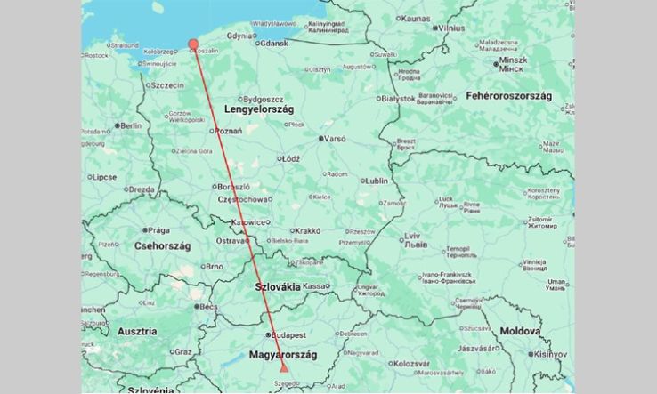 886 kilométert repült két hét alatt egy apró csilpcsalpfüzike Bugacig