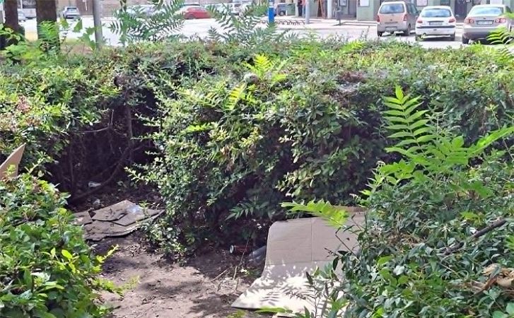 Rendbe teszik a Széchenyi tér buszpályaudvar melletti zöldterületét