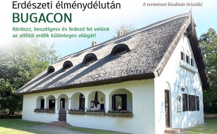 A KEFAG Zrt. különleges programmal készül az Erdők Éjszakájára Bugacon