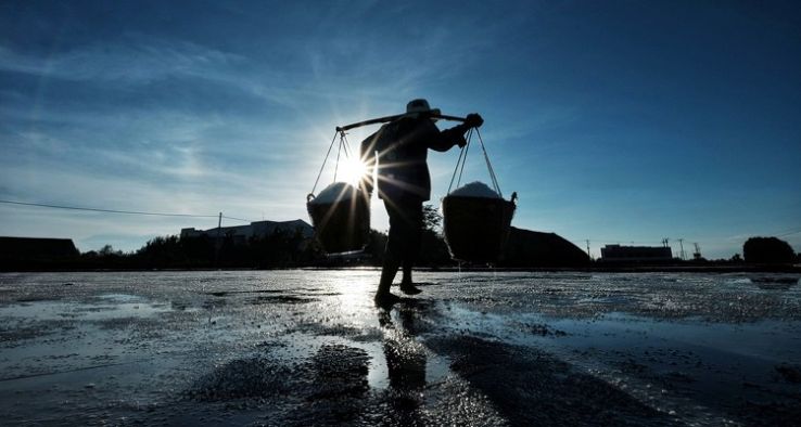 7 éves kora óta napszámosként dolgoztatta nevelt gyermekét