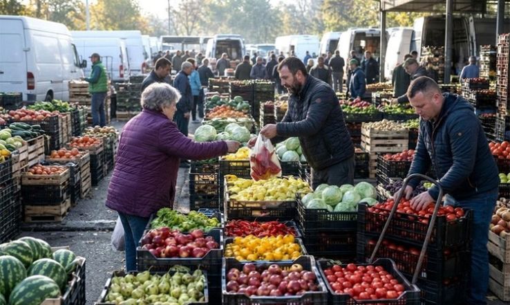 Ki vásárolhat a kecskeméti nagybani piacon? Nehéz döntés előtt a közgyűlés