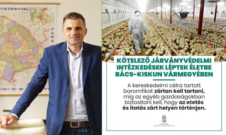 Kötelező járványvédelmi intézkedések léptek életbe Bács-Kiskun vármegyében