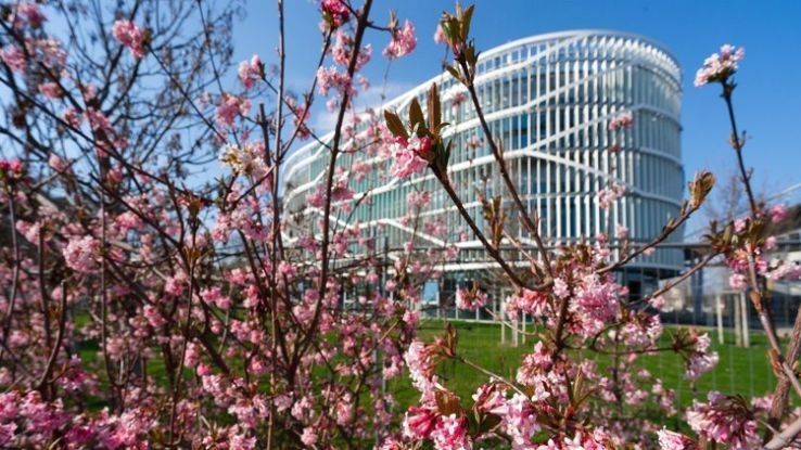 Magyar nótadélután várja az érdeklődőket CAMPUS-on