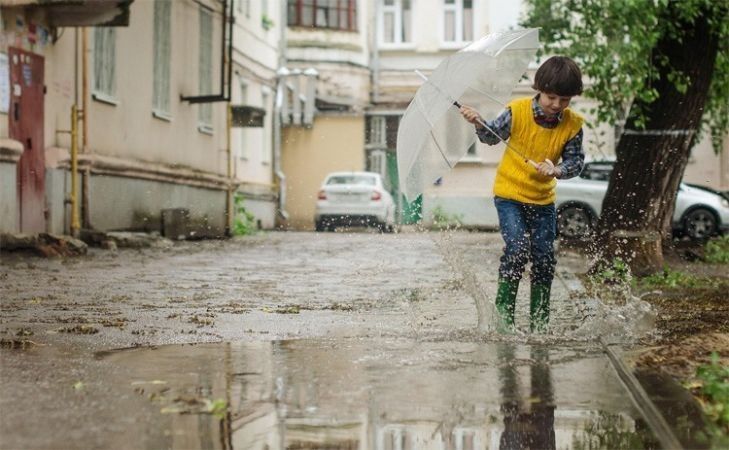 Lakossági kérdőívvel méri fel az önkormányzat a csapadékvíz helyben tartásának lehetőségeit Kecskeméten