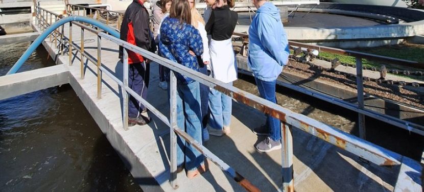 Így lesz a szennyvízből érték: Nyílt napot tartott a Föld napján a BÁCSVÍZ