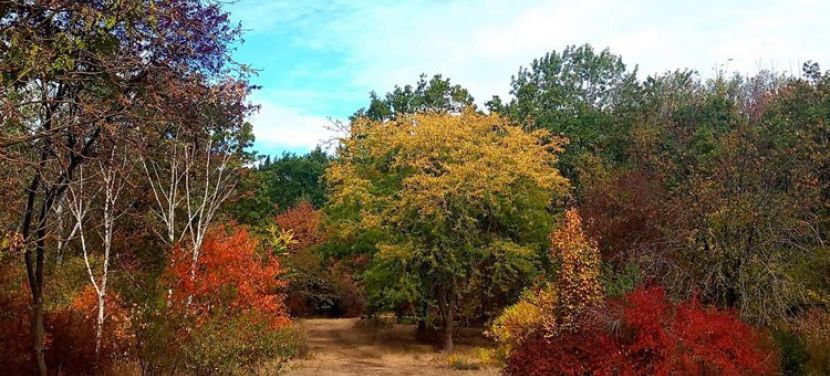 Megérkezett az ősz a Kecskeméti Arborétumba