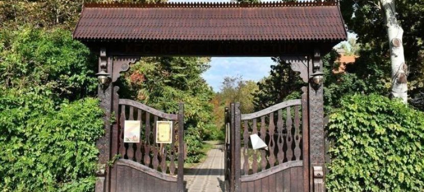 Közös felfedezések az Erdők Hetén a Kecskeméti Arborétumban