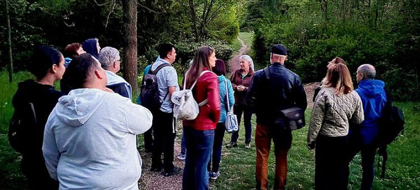 Madárdal és alkonyi fények tették teljessé az idei Fülemülék éjszakájának hangulatát az arborétumban