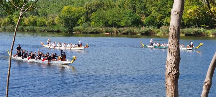 Idén is megrendezik a Sulisárkány versenyt a Benkó Zoltán Park taván