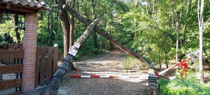 Kidőlt a kapu a Csalánosi Parkerdő egyik bejáratánál