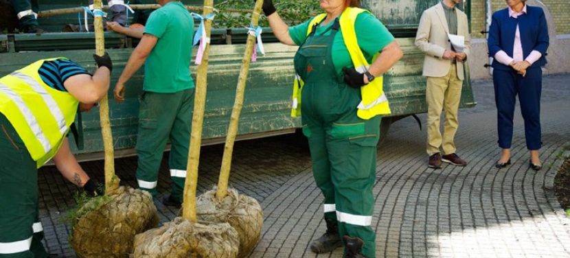 Virágzó Kecskemét – Európa előtt mutatkozik be a „tájra hangolt város” (VIDEÓ)