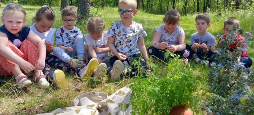 Gyerekhangoktól volt hangos az Arborétum: Idén is megünnepelték a Madarak és Fák Napját