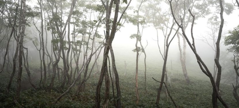 Napos és tartósan párás, ködös területek is előfordulhatnak ezen a héten