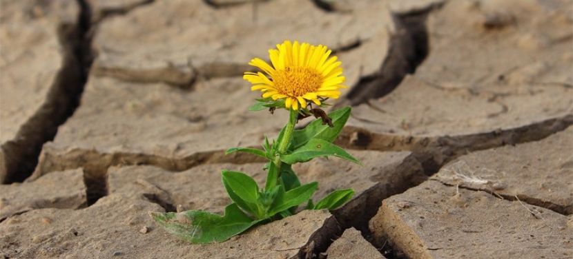 Az elmúlt 126 év legsúlyosabb aszálya volt az idei