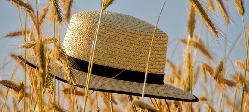 Hétvégére enyhül a kánikula, de továbbra is meleg idő lesz, egy-egy záporral