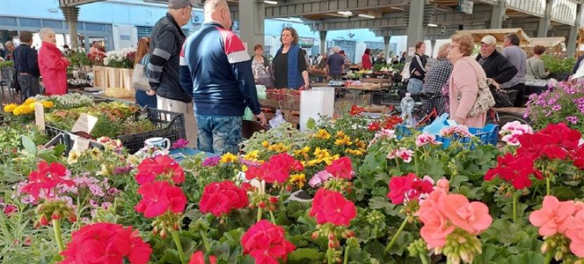 Nyári nyitvatartás és május 1-i rend a kecskeméti piacokon