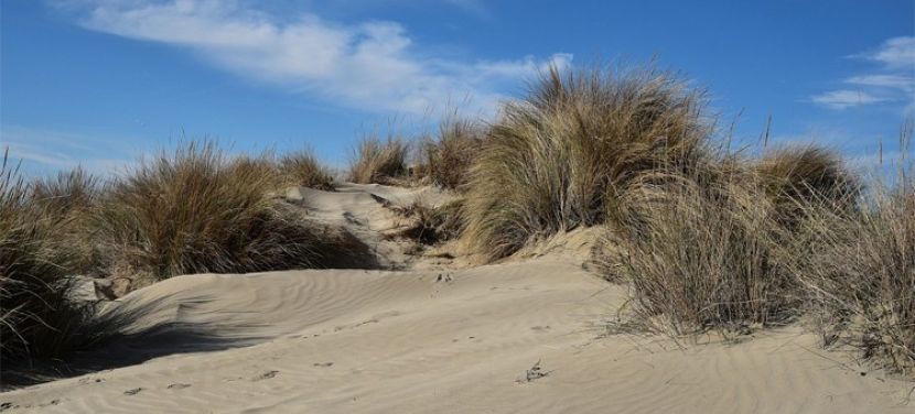 Lehűléssel indul a hét, és visszatérnek a hajnali fagyok is