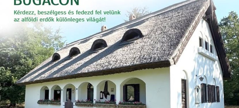 A KEFAG Zrt. különleges programmal készül az Erdők Éjszakájára Bugacon