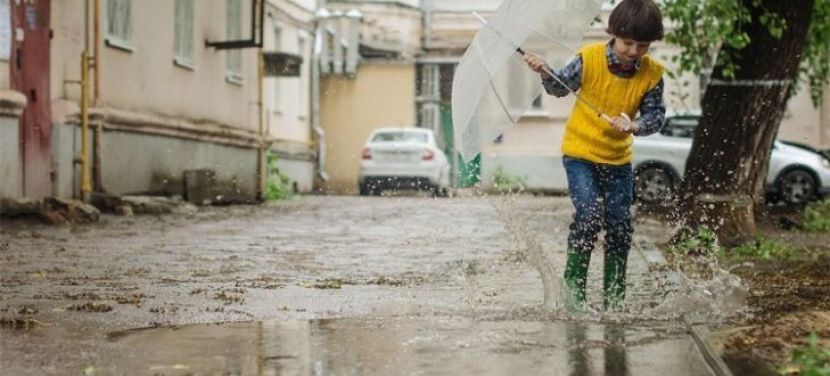 Lakossági kérdőívvel méri fel az önkormányzat a csapadékvíz helyben tartásának lehetőségeit Kecskeméten