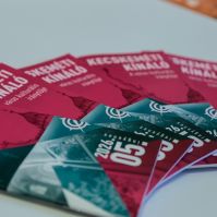 Amerikából érkezett ajándék: Kodály-portrét avattak Kecskeméten